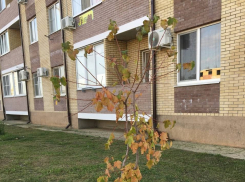 В Краснодаре жители поселка Пригородный уже пять месяцев живут без горячей воды из-за долга УК