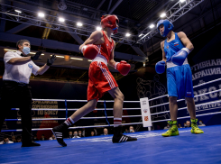 Боксёр из Краснодара разгромил петербуржца на Кубке Никифорова-Денисова
