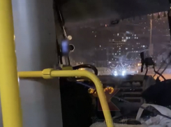 Водитель автобуса в Краснодаре смотрел порно за рулем при детях