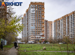 Мэр Евгений Наумов насчитал 1,5 млн жителей Краснодара 