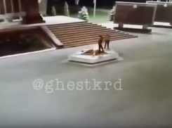  Два подростка помочились на Вечный огонь на Кубани 