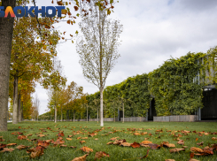 Похолодание заставит краснодарцев достать теплые одеяла