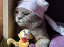 Температура воздуха упадет до -2 градусов в Краснодарском крае 