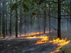 Из-за сильной жары на Кубани объявлено штормовое предупреждение 