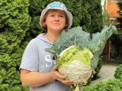 Щедрый урожай начинается с правильного выбора семян