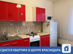 Недорогая квартира сдается в центре Краснодара