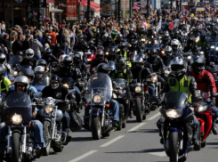 Властям Кубани посоветовали ответить «сам петух» на провокацию с мотопробегом