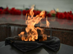 В День защитника Отечества в Краснодарском крае проведут 1400 мероприятий