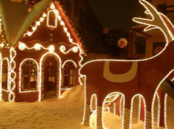 Самая большая пряничная деревня будет построена в Краснодаре