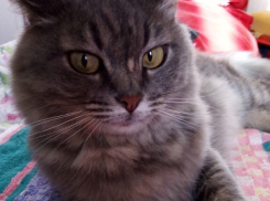 До +31 прогреется температура воздуха на Кубани