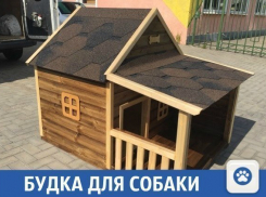 Уютный дом для символа года продают в Краснодаре