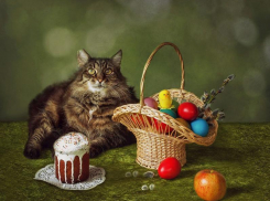 На Пасху в Краснодаре будет тепло, местами пройдут дожди