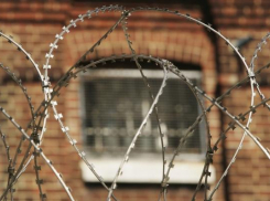 Лучшие «Краснодарские сувениры» привозятся из колоний Кубани