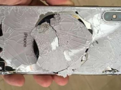 Проваленный «краштест» и «игры бровями»: об iPhone X рассказали жителям Краснодарского края 