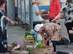 В Краснодаре продают на рынках сорванные в скверах цветы
