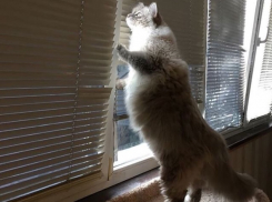 В Краснодарском крае порывы ветра достигнут 20 м/с и будет гололёд