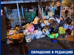 Горы мусора захватывают проезжую часть в Краснодаре