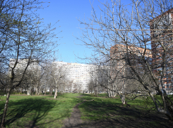 «Здесь хотели построить ЖК, но будет оазис»: мэр Краснодара рассказал про Изумрудный сквер