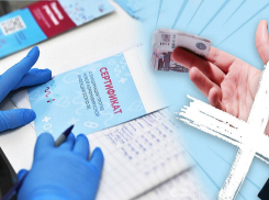 Полиция Кубани расследует шесть уголовных дел о подделке сертификатов о вакцинации от COVID-19