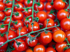 Сгорели в санкционном костре: в Краснодаре уничтожили запрещённую продукцию