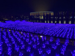 Городские парки Краснодара  признаны одними из лучших в России