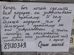 В Краснодаре на остановках и мусорках расклеили стихи и «Правила богатства»