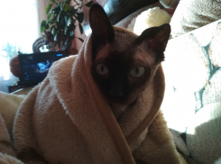 Температура воздуха в Краснодарском крае упадёт до -10 градусов