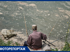 Караси среди фекалий и средств женской гигиены: что ловят рыбаки в реке Кубань в Краснодаре