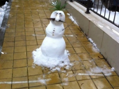 Сочинский снеговик развеселил пользователей сети