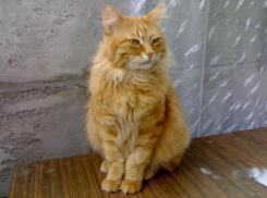 Жара в Краснодаре 13 июля продержится до самого вечера