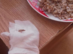 Ребенку с ДЦП в армавирской больнице подали кашу с тараканом 