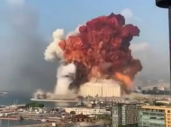 Кубанский инспектор рассказала о судне, чей груз уничтожил половину Бейрута