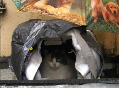 Снова дождь обрушится на Краснодарский край