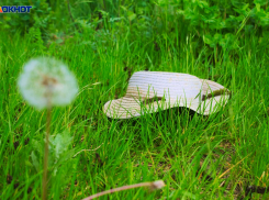 В Краснодарском крае 2 июля похолодает, при северном ветре вероятность дождя мала 