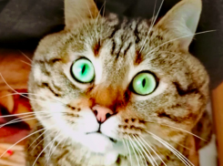 В Краснодарском крае похолодает и усилятся осадки