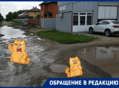 «Кардинально не изменилось»: жители микрорайона Сады Калинина просят Первышова залатать ямы