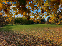 Настоящая южная осень наступила в Краснодаре