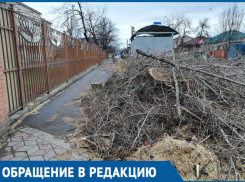 «Мама, чем я буду дышать?» - у школы №17 в Краснодаре спилили здоровые деревья