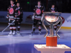 В Сочи пройдет Кубок мира по хоккею среди молодежных команд-2018