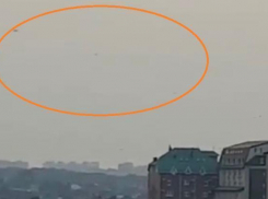 Полчище стрекоз атаковало Краснодар