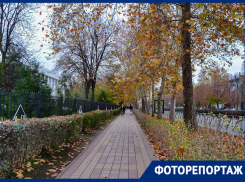 Рождаешься, учишься и умираешь: большая деревня Черемушки - всё для жизни в Краснодаре