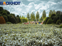 Магнитная буря ударит по самочувствию жителей Краснодара