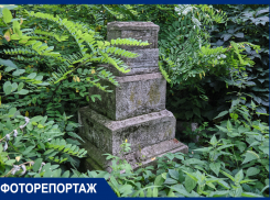 Туризм на костях Всесвятского кладбища: хранилище истории Краснодара с легендами о ведьме и Фанни Каплан