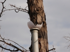 В Кавказском районе вандалы разгромили уличные фонари на «Аллее Славы»