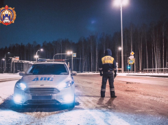 На трассе М-4 «Дон» спасли замерзающих пассажиров автобуса «Москва – Краснодар» 
