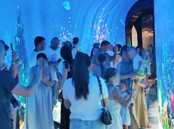 «Поток людей несёт тебя»: краснодарцы устроили столпотворение в новой локации парка Галицкого