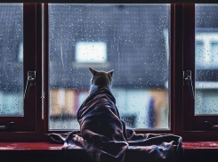 Выходные на Кубани будут совсем не «летними»