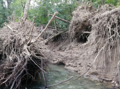 В Краснодарском крае из-за обильных осадков река Хоста вышла из берегов
