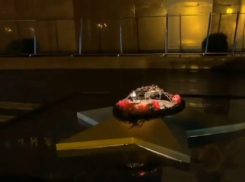 Стало известно, кто сжёг венок на Вечном огне в Сочи