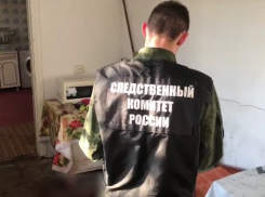 За растерзание питбультерьерами четырёхлетней краснодарки осудят жителя Сочи